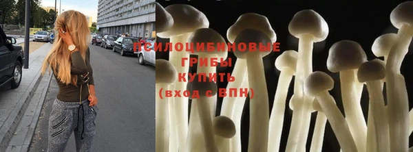 винт Нягань